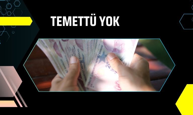 Tek-Art, geçmiş yıl zararları nedeniyle kâr dağıtmıyor