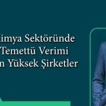 Temettü verimliliği hisselerin performansına yansımıyor