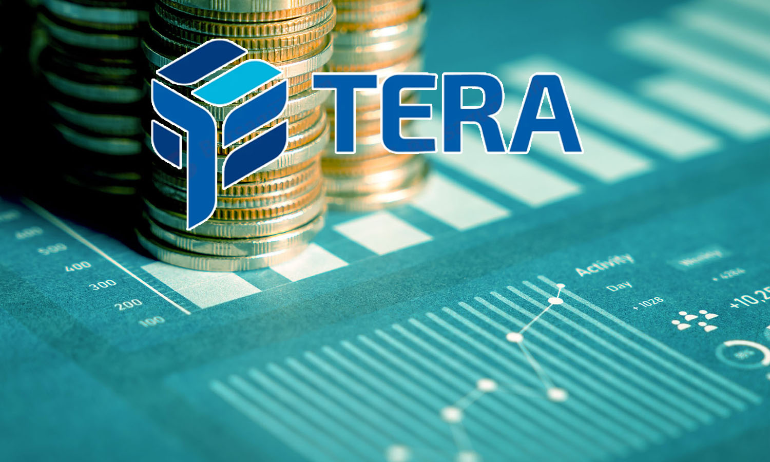 Tera Finansal Yatırımlar, banka satın almak için harekete geçti