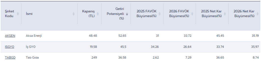 Yüksek potansiyelli, net kar ve FAVÖK büyümesi beklenen şirketler Yüksek potansiyelli, net kar ve FAVÖK büyümesi beklenen şirketler