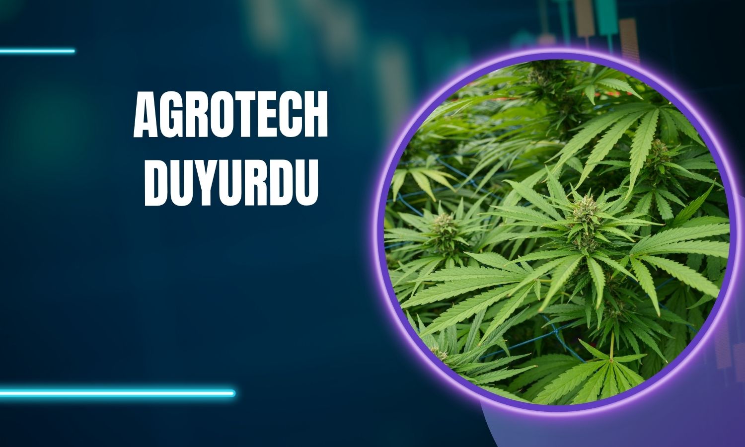 AGROT, kenevir üretimi için satın alma görüşmelerinde