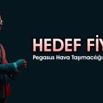 Aracı kurum Pegasus için “tut” dedi: Hisse 300 TL’ye ulaşabilir