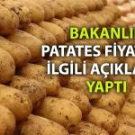 Bakanlık’tan Patates açıklaması: Yüksek rakamlar gerçeği yansıtmıyor