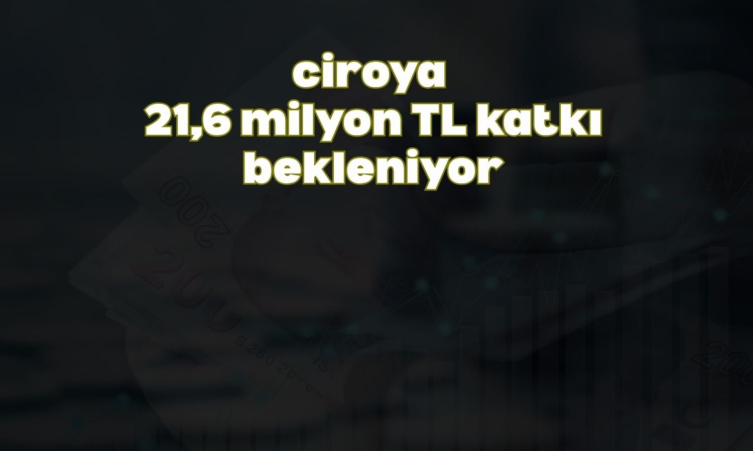 Borlease Otomotiv’den 317 araçlık yeni kiralama anlaşması