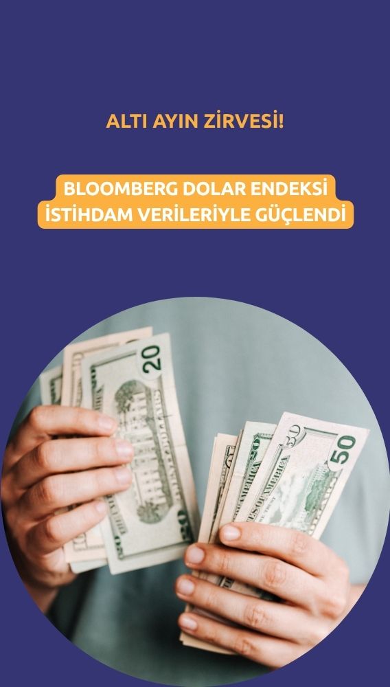 Dolar kritik istihdam verisiyle altı ayın zirvesine çıktı