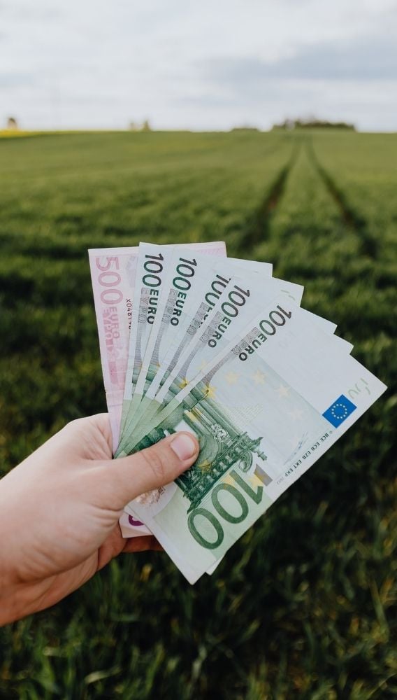 ECB: Euro Bölgesi kredi ve para arzı Ekim’de arttı