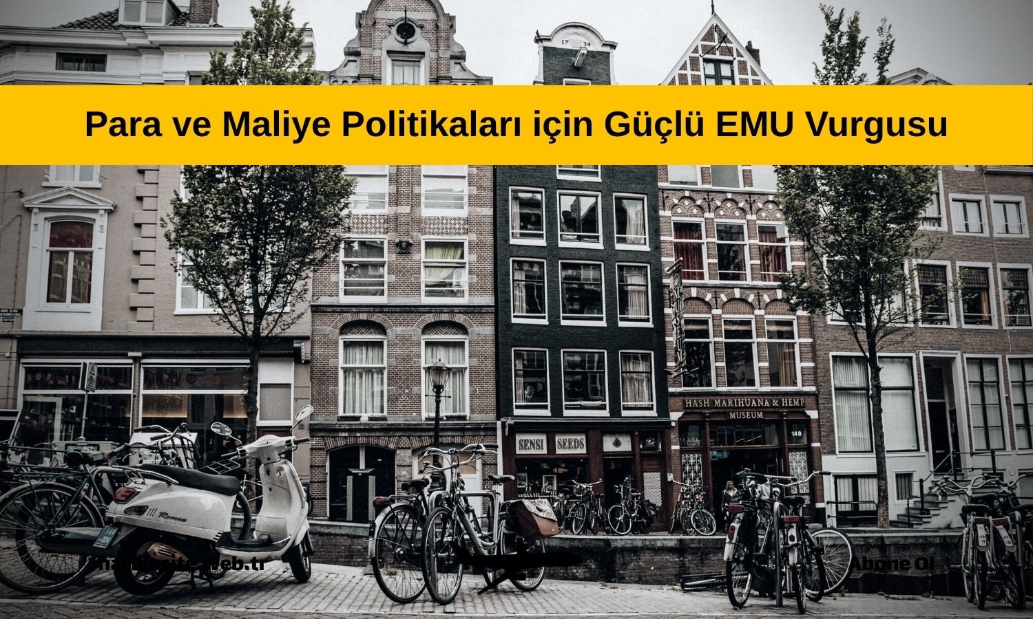 ECB/ Sleijpen: Daha güçlü ekonomik ve parasal birlik gerekli