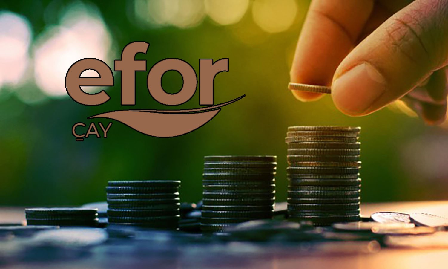 Efor Yatırım bağlı ortaklığı 22 bin ton buğday ithal etti