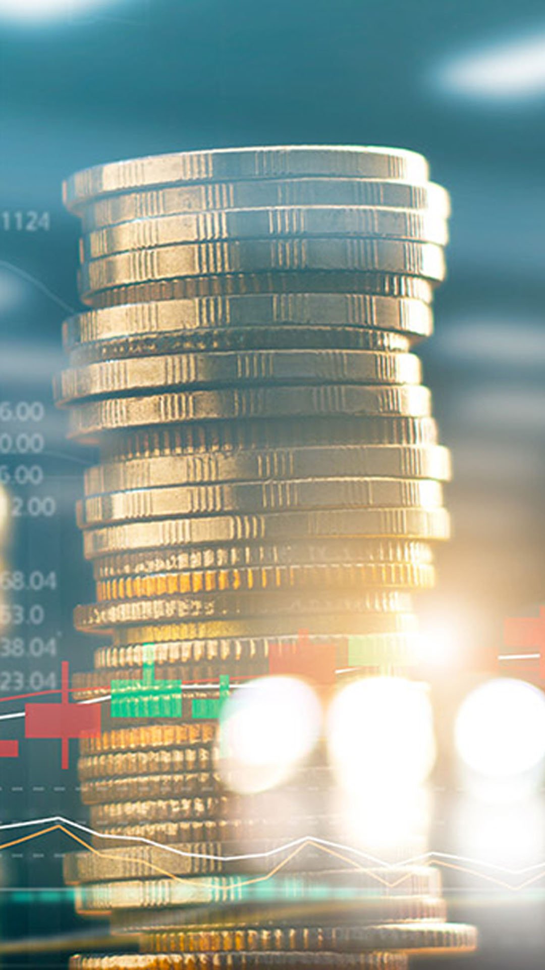 Elite Naturel (ELITE) Aralık’ta temettü dağıtacak