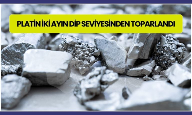 FED açıklamaları platin piyasasını canlandırdı