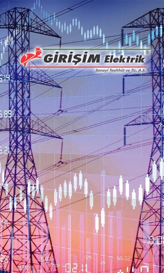 GESAN, 178 milyon TL'lik TEİAŞ ihalesini kazandı