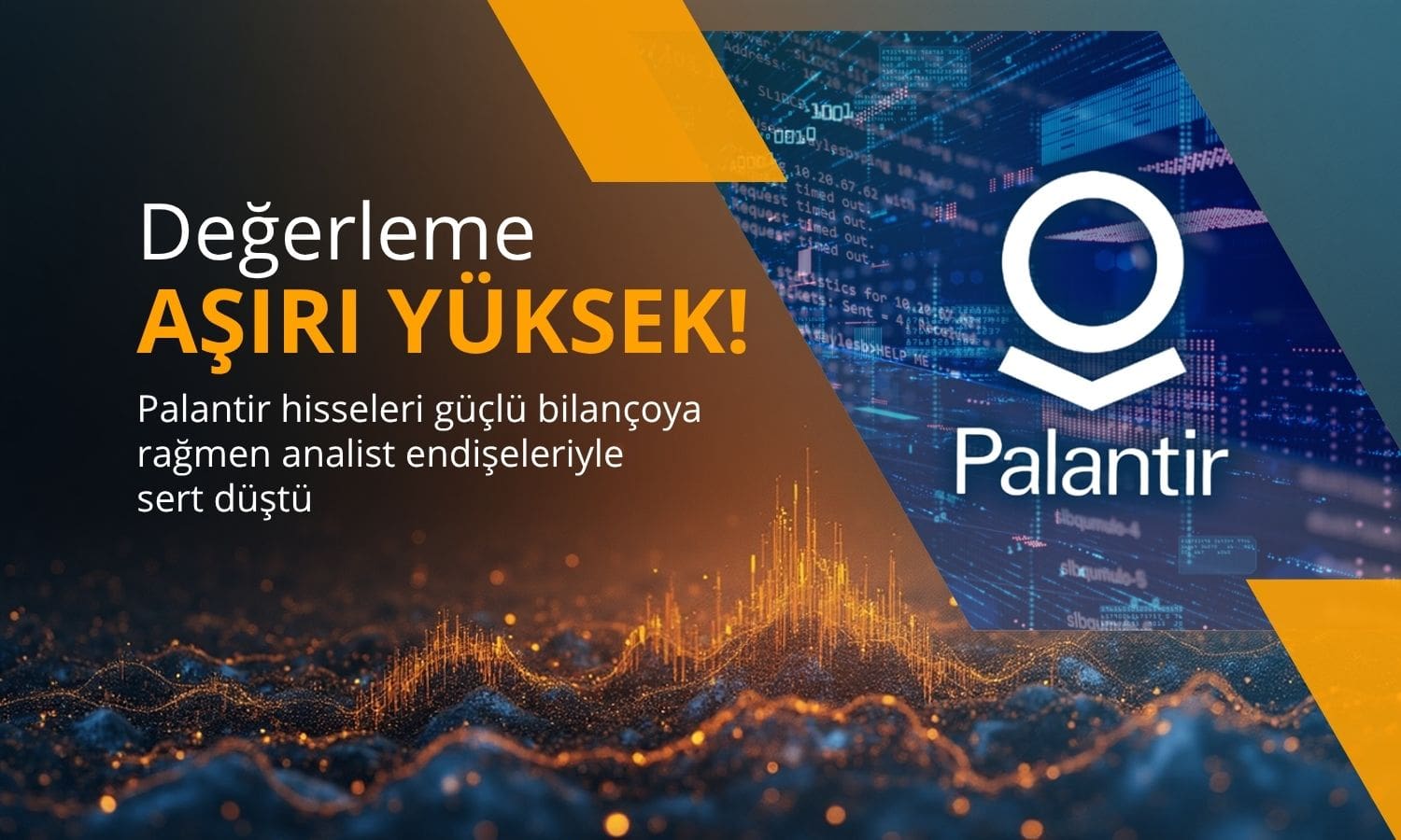 Güçlü bilançoya rağmen Palantir ‘aşırı değerli’ bulundu