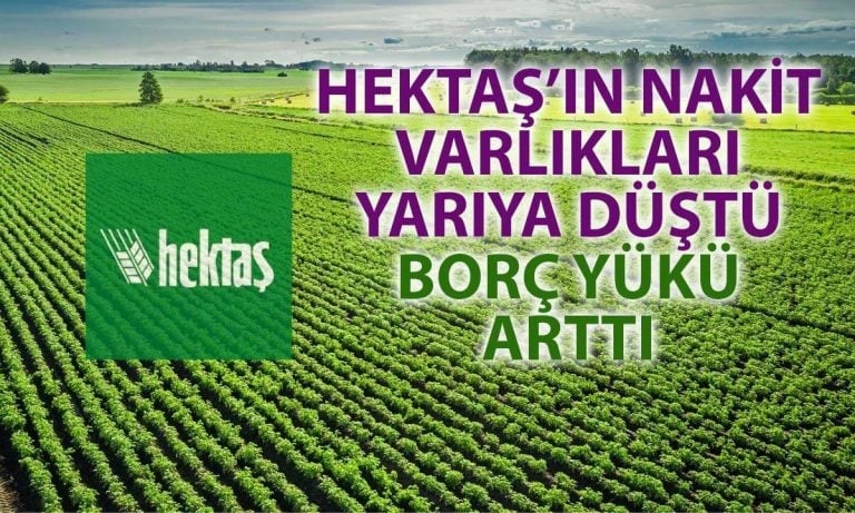 Hektas’ın finansal performansı zayıfladı: Zarar ve nakit darboğazı