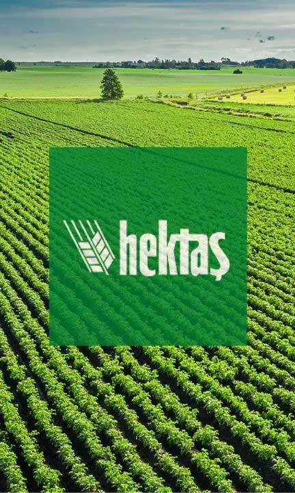 Hektas'ın finansal performansı zayıfladı: Zarar ve nakit darboğazı
