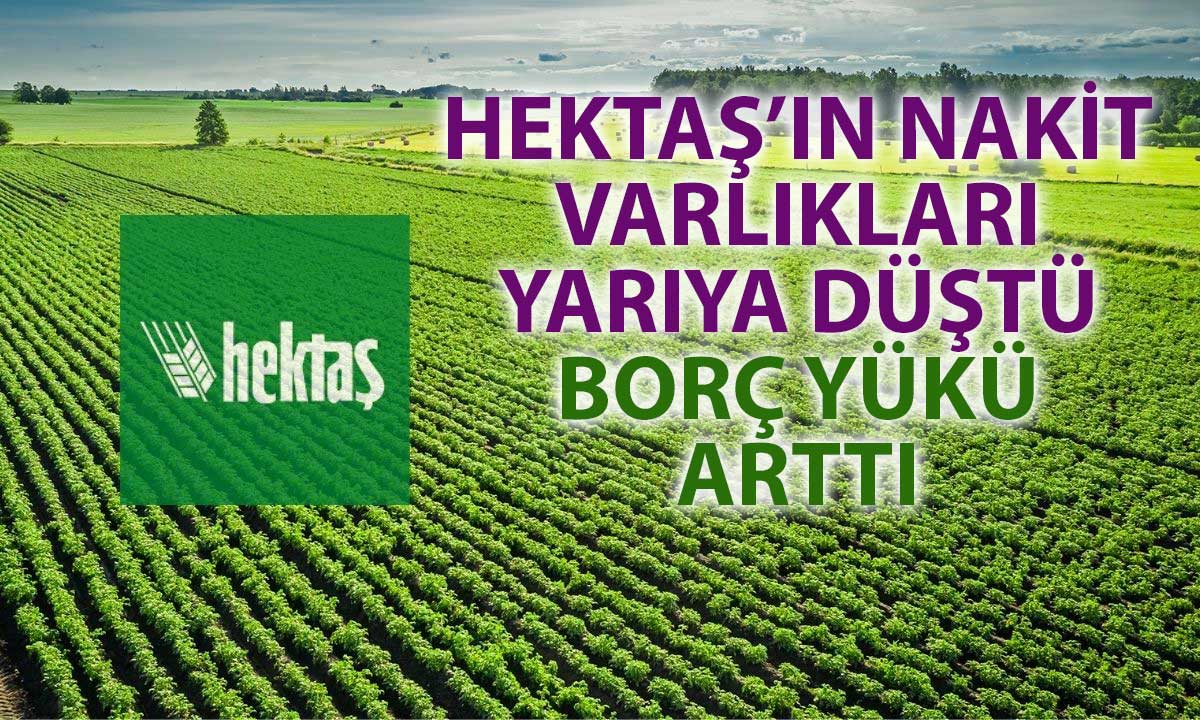 Hektas’ın finansal performansı zayıfladı: Zarar ve nakit darboğazı