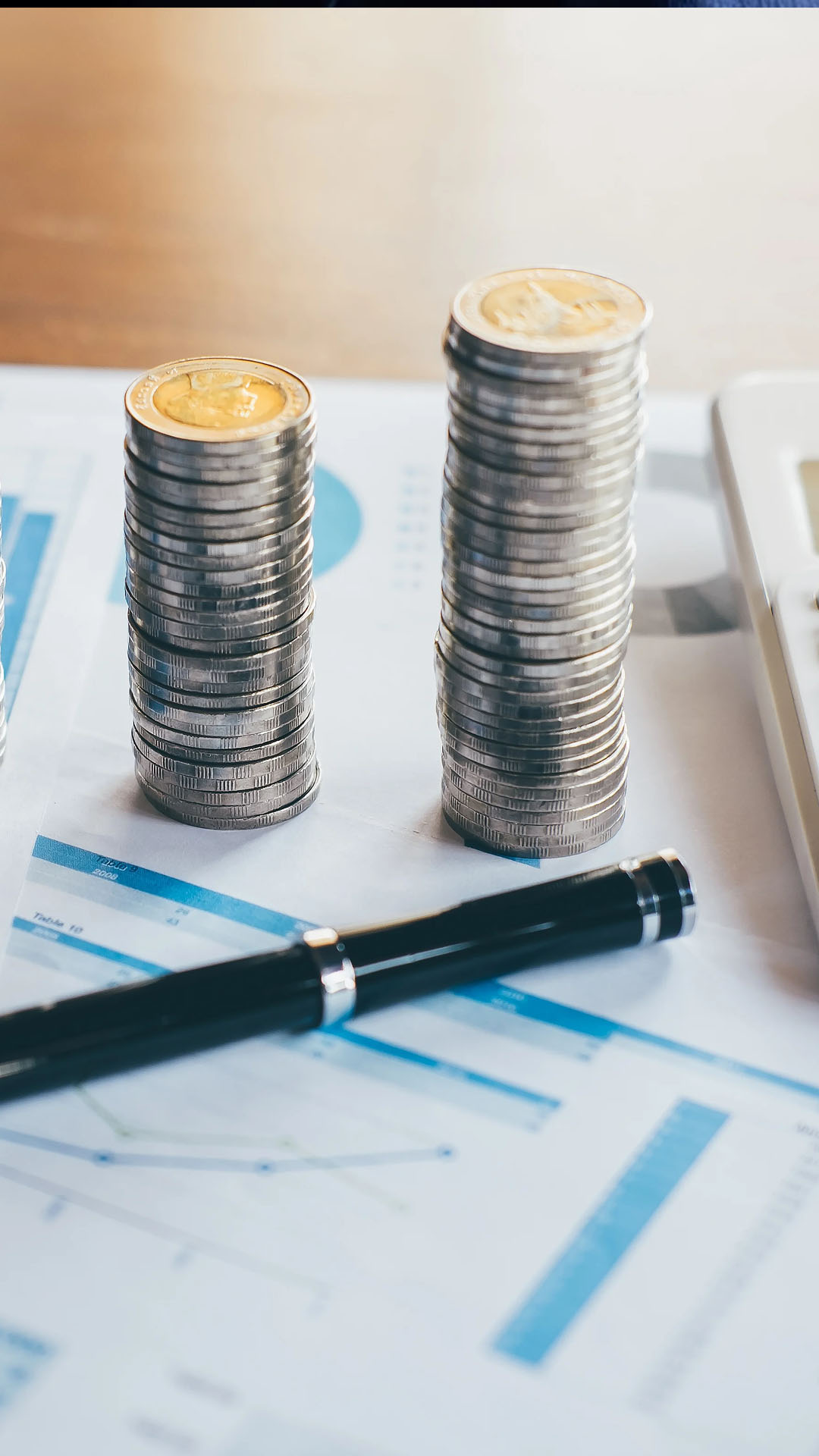 Hissesi yüzde 4940 yükselen TERA’dan güçlü net kar performansı