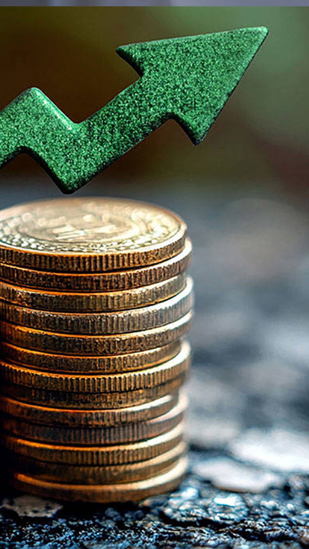 Hakan Kara: Enflasyonda zafer ilan etmek için henüz çok erken