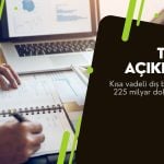 Kısa vadeli borç stoku 224,8 milyar dolara geriledi