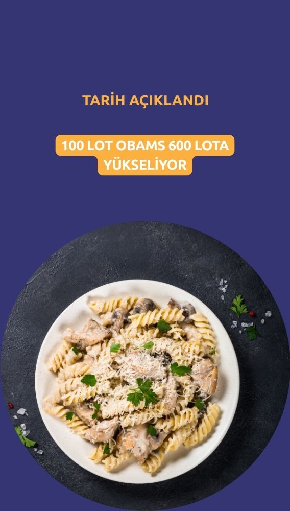 100 lot OBAMS 600'e yükselecek: Tarih açıklandı