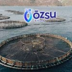 Özsu Balık’a Rekabet Kurumu’ndan soruşturma