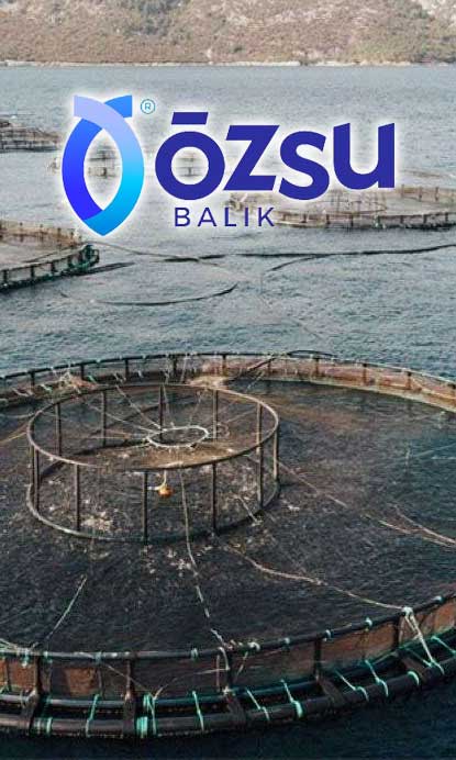 Özsu Balık'a Rekabet Kurumu'ndan soruşturma