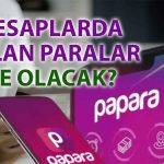 Papara’dan faaliyet durdurma kararı sonrası iade açıklaması