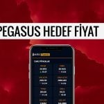 Pegasus (PGSUS) için 8 farklı hedef fiyat: 349 TL’ye ulaşacak mı?
