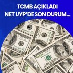 Rezervlerde tarihi rekor: Net UYP -327,1 milyar dolar