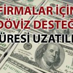 TCMB, dövizde TL teşviğini 6 ay daha uzattı