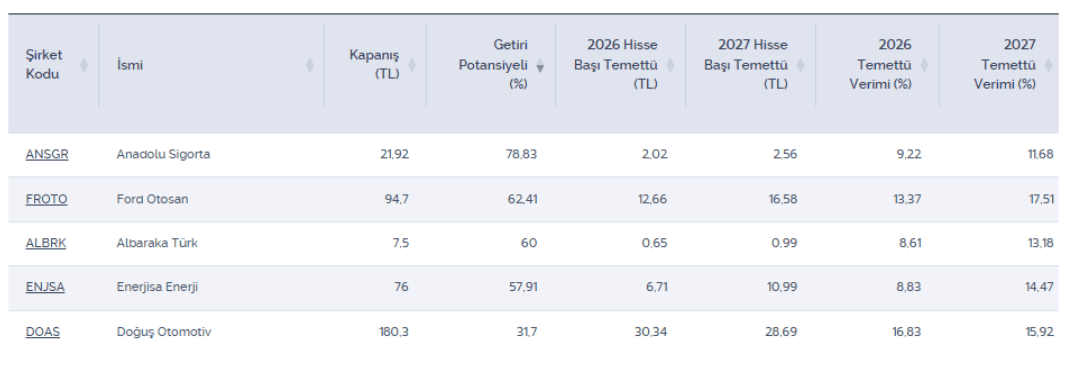 Temettü beklenen ve getiri potansiyeli yüksek 5 hisse