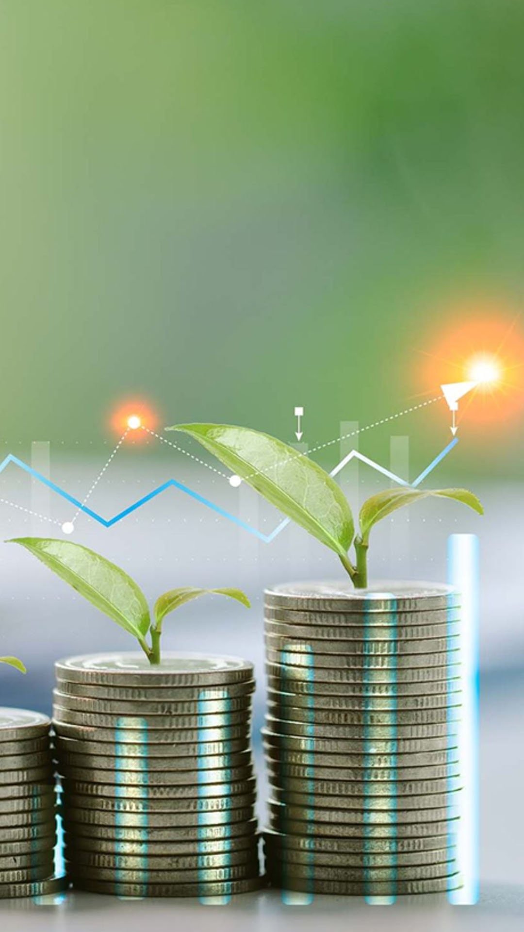 Vişne Madencilik (VSNMD) 0,33 TL temettü için tarihi açıkladı