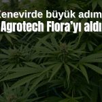 Agrotech kenevirde güçleniyor: Yüzde 60 hisse devralındı