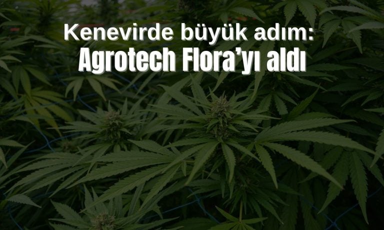 Agrotech kenevirde güçleniyor: Yüzde 60 hisse devralındı