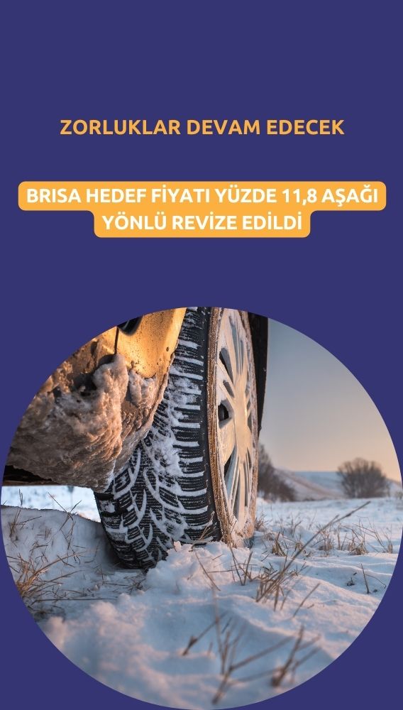 BRISA için tavsiye TUT, hedef fiyat 109,90 TL