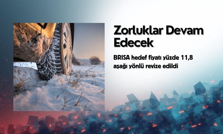 BRISA için tavsiye TUT, hedef fiyat 109,90 TL