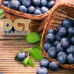 DCT Trading’den büyüme adımı: Yunanistan’da tarım arazisi aldı