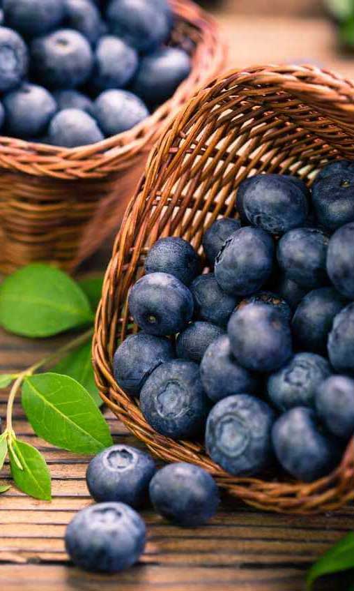 DCT Trading’den büyüme adımı: Yunanistan’da tarım arazisi aldı