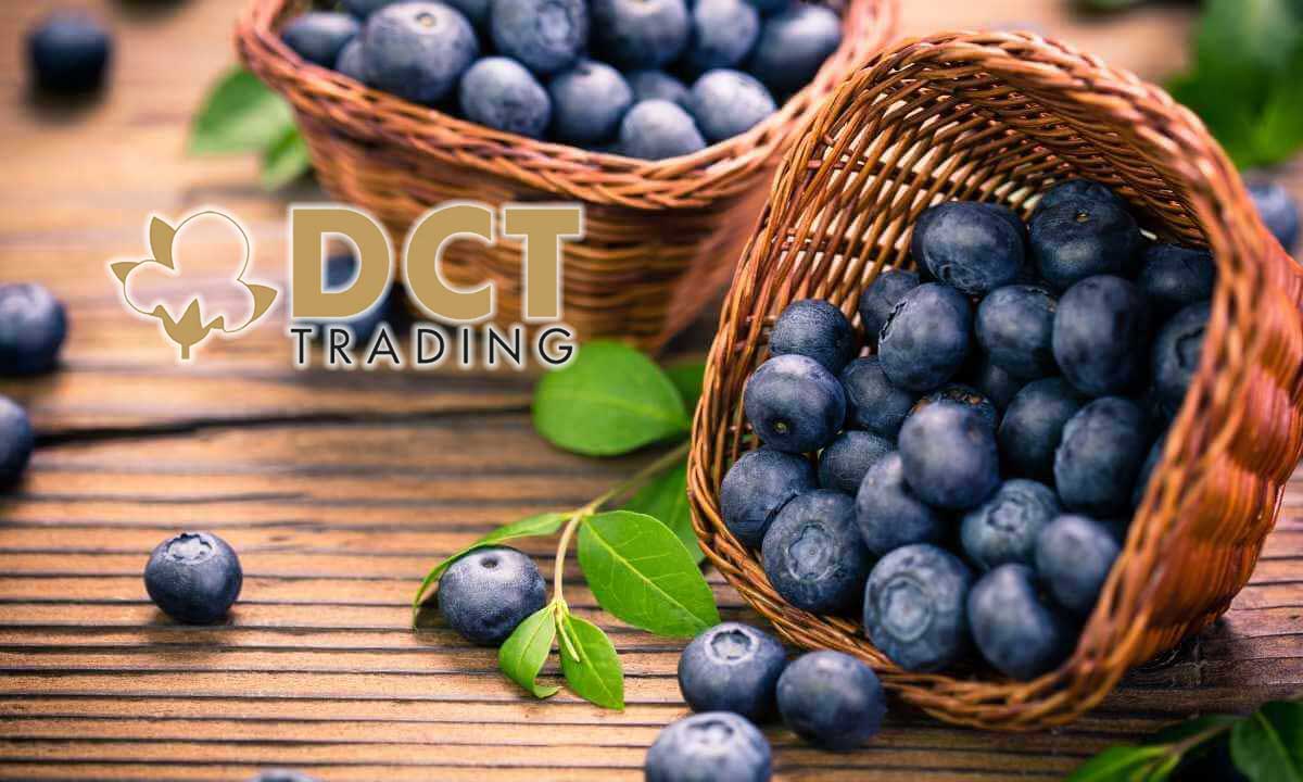 DCT Trading’den büyüme adımı: Yunanistan’da tarım arazisi aldı