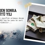 Dolar 2017’den bu yana en kötü yılına gidiyor