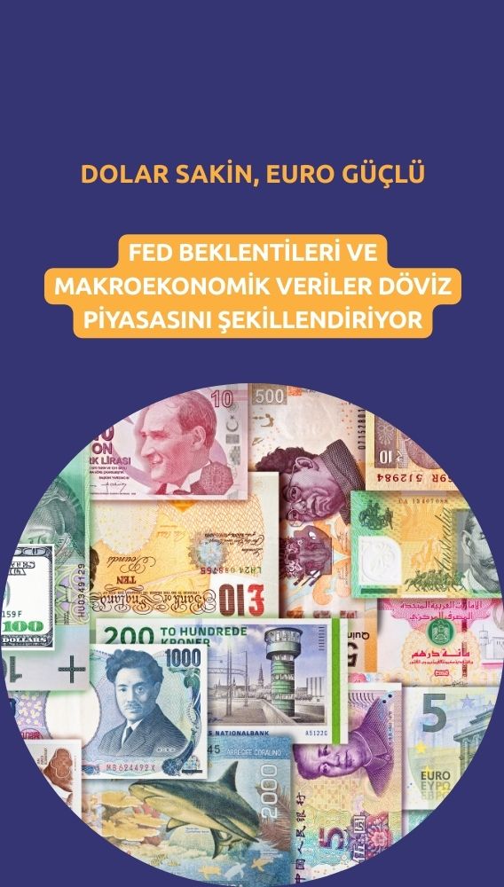 Dolar sakinleşirken, Euro yılın en iyi performansını gösteriyor