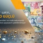 Dolar sakinleşirken, Euro yılın en iyi performansını gösteriyor