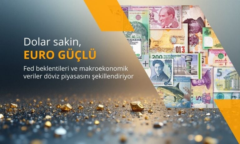 Dolar sakinleşirken, Euro yılın en iyi performansını gösteriyor