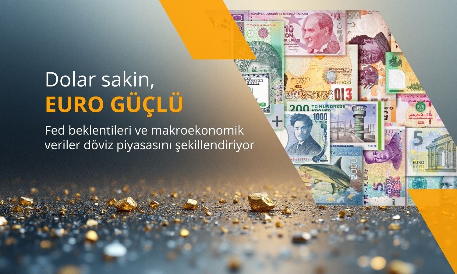 Dolar sakinleşirken, Euro yılın en iyi performansını gösteriyor