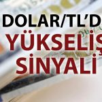 Dolar/TL’de 43 alarmı: Psikolojik direnç gündemde