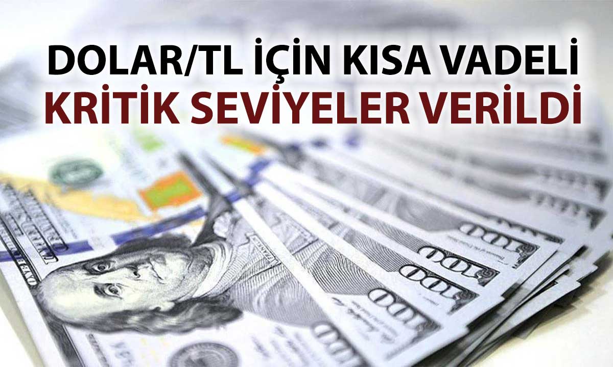 Dolar/TL’de kritik eşik: 42,80 üzerinde yükseliş eğilimi