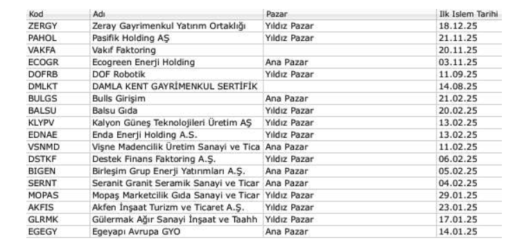 Halka arz cephesinde 2025 sessiz bir yıl oldu