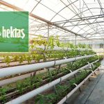 Hektaş’tan 15 milyar TL’ye kadar borçlanma kararı