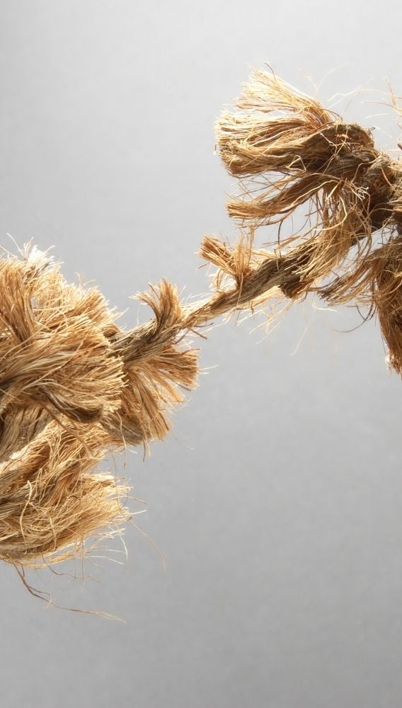 Kaplamin’in Çukurova ile ilişkili taraf süreci bitti