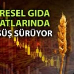 Küresel gıda fiyatları Kasım’da üst üste üçüncü kez düştü