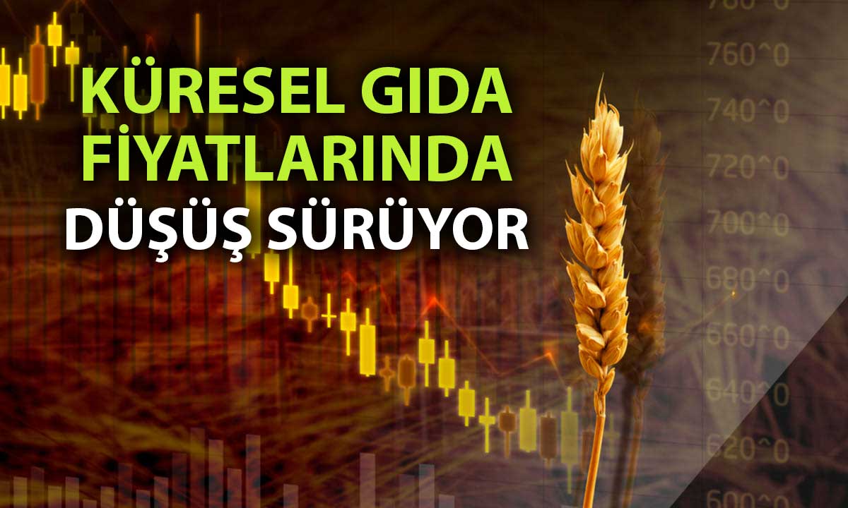 Küresel gıda fiyatları Kasım’da üst üste üçüncü kez düştü